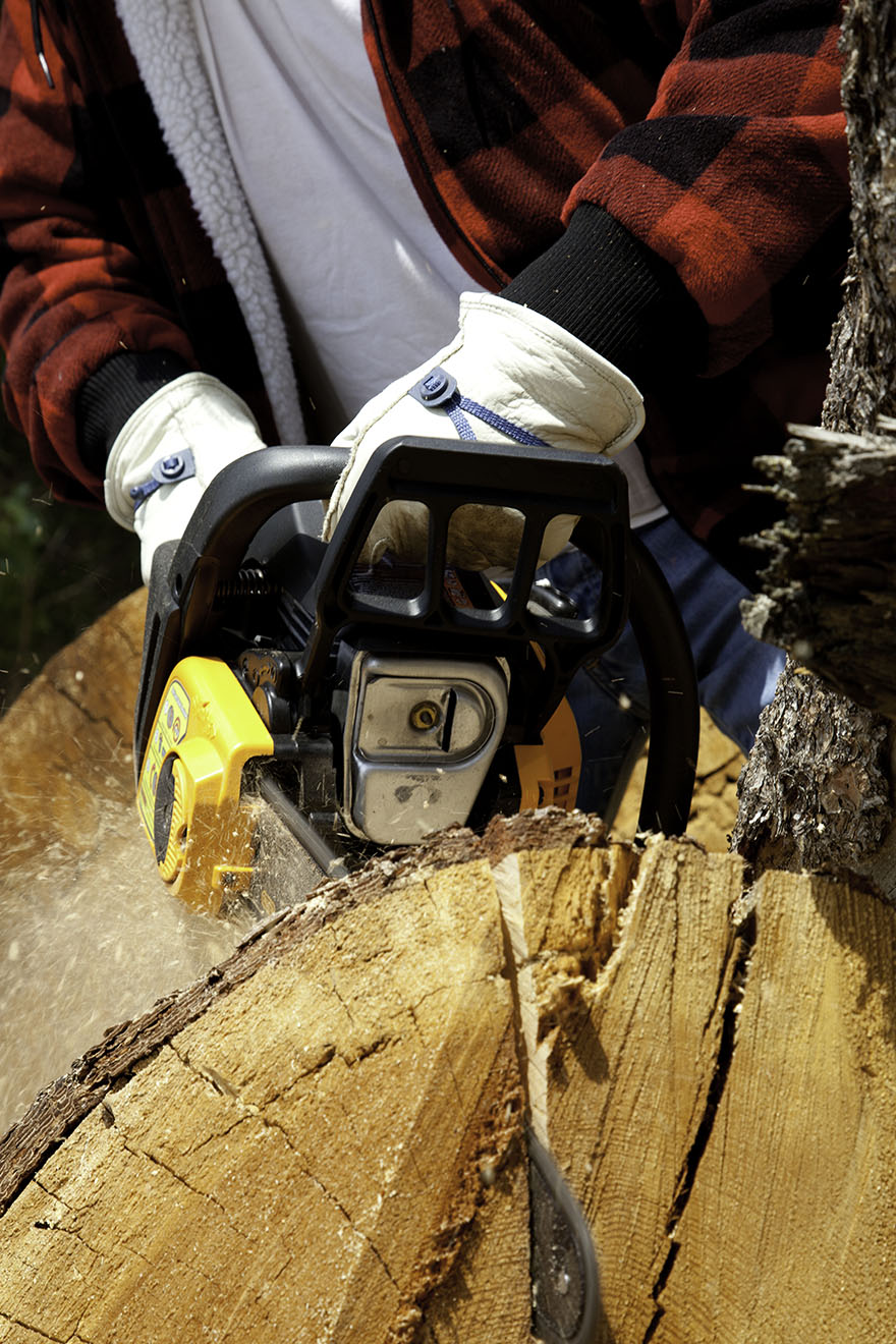 What Safety Precautions Are Needed When Using A Chainsaw For Tree Cutting